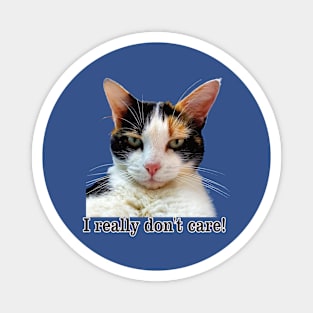 Cute Calico Cat with Attitude – I Really Don't care! Magnet